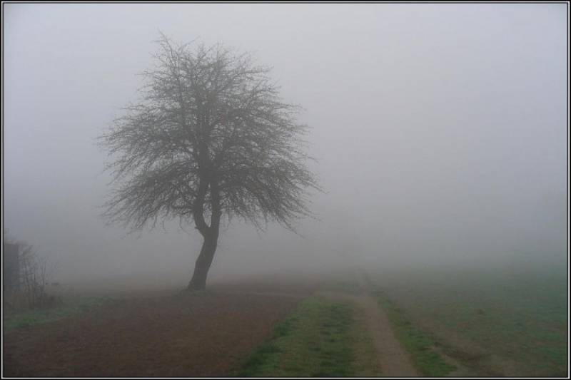 Zdjęcie: Ostrzeżenie - Silna mgła